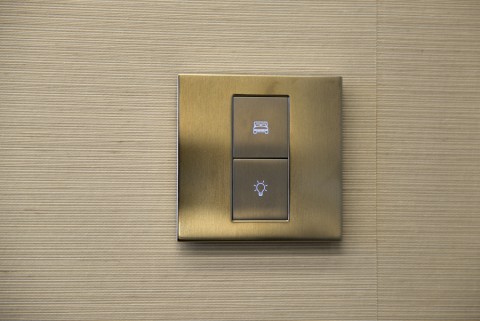 Lutron keypad featuring metallic silver finish and backlit bedroom and lighting buttons.