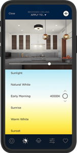 Savant Lighting Interface